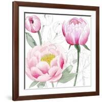 May Peonies II-Grace Popp-Framed Art Print