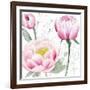 May Peonies II-Grace Popp-Framed Art Print