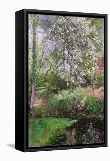 May Petals on the Moat Edge-Timothy Easton-Framed Stretched Canvas