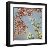 May Second-Donna Geissler-Framed Giclee Print