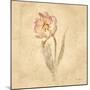 May Wonder Tulip-Cheri Blum-Mounted Art Print