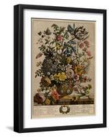 May-Robert Furber-Framed Art Print