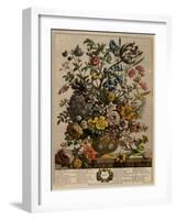 May-Robert Furber-Framed Art Print