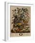 May-Robert Furber-Framed Art Print