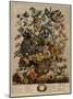 May-Robert Furber-Mounted Art Print