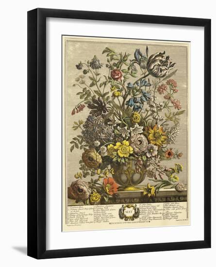 May-Robert Furber-Framed Giclee Print