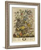 May-Robert Furber-Framed Giclee Print