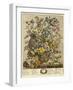 May-Robert Furber-Framed Giclee Print