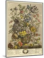 May-Robert Furber-Mounted Giclee Print