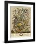 May-Robert Furber-Framed Giclee Print