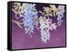 May-Haruyo Morita-Framed Stretched Canvas