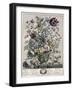 May-H. Fletcher-Framed Giclee Print