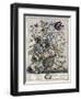 May-H. Fletcher-Framed Giclee Print