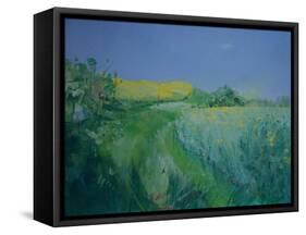May-Charlie Millar-Framed Stretched Canvas