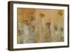 Maya 2-Maeve Harris-Framed Giclee Print