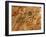 Maya Murals, Maya, San Bartolo, Guatemala-Kenneth Garrett-Framed Photographic Print