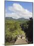 Mayan Archeological Site, Copan Ruins, UNESCO World Heritage Site, Honduras, Central America-Christian Kober-Mounted Photographic Print