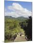 Mayan Archeological Site, Copan Ruins, UNESCO World Heritage Site, Honduras, Central America-Christian Kober-Mounted Photographic Print