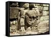 Mayan Carved Stone Skull on Top of East Court, Dating from 8th Century, Copan, Honduras-Christopher Rennie-Framed Stretched Canvas