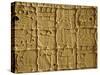 Mayan Carvings on Stela, Tikal, Guatemala, Central America-Upperhall Ltd-Stretched Canvas