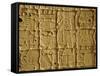 Mayan Carvings on Stela, Tikal, Guatemala, Central America-Upperhall Ltd-Framed Stretched Canvas