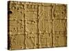 Mayan Carvings on Stela, Tikal, Guatemala, Central America-Upperhall Ltd-Stretched Canvas