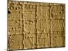 Mayan Carvings on Stela, Tikal, Guatemala, Central America-Upperhall Ltd-Mounted Photographic Print