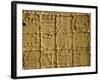 Mayan Carvings on Stela, Tikal, Guatemala, Central America-Upperhall Ltd-Framed Photographic Print