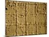 Mayan Carvings on Stela, Tikal, Guatemala, Central America-Upperhall Ltd-Mounted Photographic Print