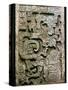 Mayan Glyph-null-Stretched Canvas