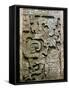 Mayan Glyph-null-Framed Stretched Canvas