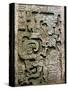 Mayan Glyph-null-Stretched Canvas