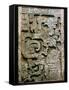 Mayan Glyph-null-Framed Stretched Canvas