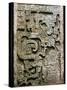 Mayan Glyph-null-Stretched Canvas