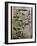 Mayan Glyph-null-Framed Photographic Print