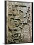 Mayan Glyph-null-Mounted Photographic Print