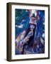 Mayan Rituals and Mystical Dances, Xcaret, Yucatan Peninsula, Mexico-Greg Johnston-Framed Photographic Print