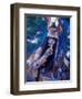 Mayan Rituals and Mystical Dances, Xcaret, Yucatan Peninsula, Mexico-Greg Johnston-Framed Photographic Print