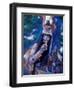 Mayan Rituals and Mystical Dances, Xcaret, Yucatan Peninsula, Mexico-Greg Johnston-Framed Photographic Print