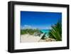 Mayan Ruin Iguana Tulum Mexico-null-Framed Art Print