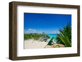 Mayan Ruin Iguana Tulum Mexico-null-Framed Art Print