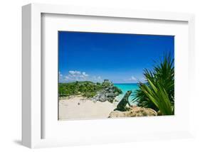 Mayan Ruin Iguana Tulum Mexico-null-Framed Art Print