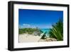 Mayan Ruin Iguana Tulum Mexico-null-Framed Art Print