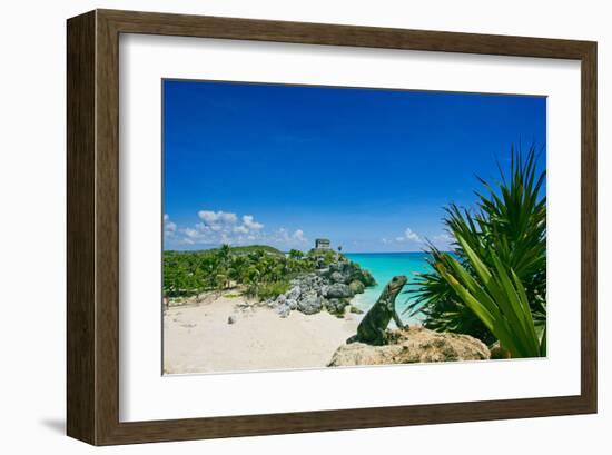 Mayan Ruin Iguana Tulum Mexico-null-Framed Art Print