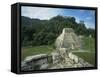 Mayan Ruins and Trees in Palenque, Mexico-Michael Brown-Framed Stretched Canvas