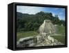 Mayan Ruins and Trees in Palenque, Mexico-Michael Brown-Framed Stretched Canvas