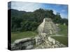 Mayan Ruins and Trees in Palenque, Mexico-Michael Brown-Stretched Canvas