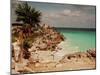 Mayan Ruins Near Cancun-null-Mounted Premium Photographic Print
