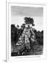 Mayan Ruins, Tikal, Guatemala, 19th Century-Alexandre De Bar-Framed Giclee Print