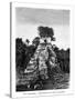 Mayan Ruins, Tikal, Guatemala, 19th Century-Alexandre De Bar-Stretched Canvas